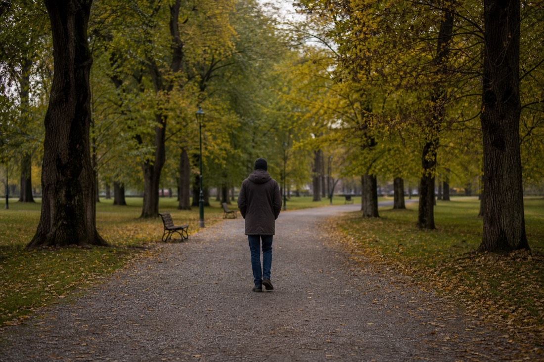 Person walking alone on a tree-lined path in a city park in early autumn
