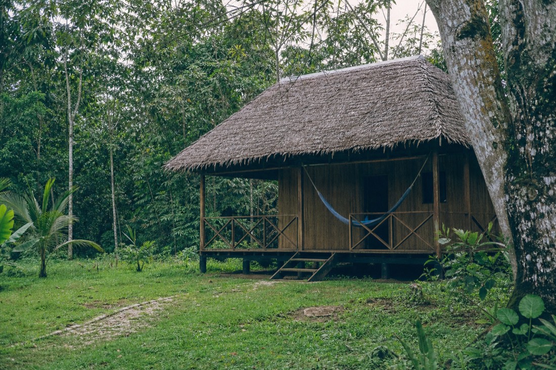 Small thatched guest bungalow with a hammock on a quiet jungle clearing in the Peruvian Amazon