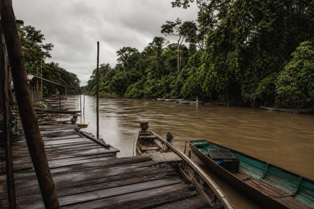 Wooden boat dock on a brown Amazon tributary with jungle pressing in on both banks