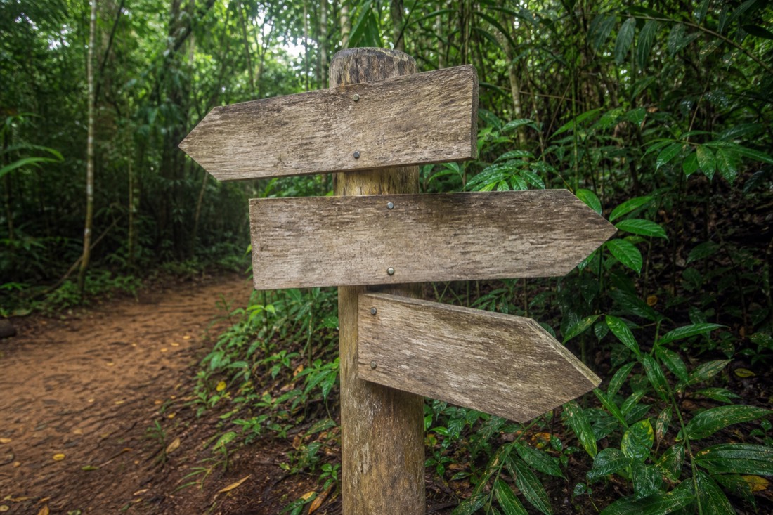 Weathered wooden signpost at a jungle trailhead pointing in three directions