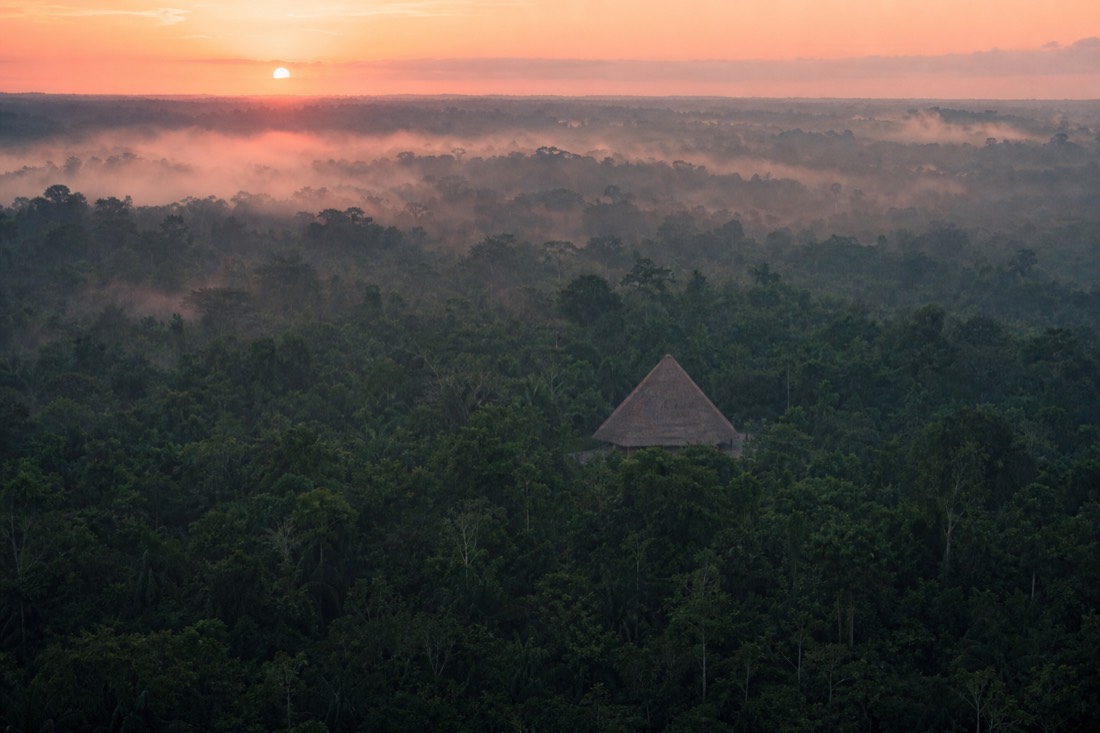 Sunrise mist over the Amazon canopy with a lone maloca roof emerging from the green