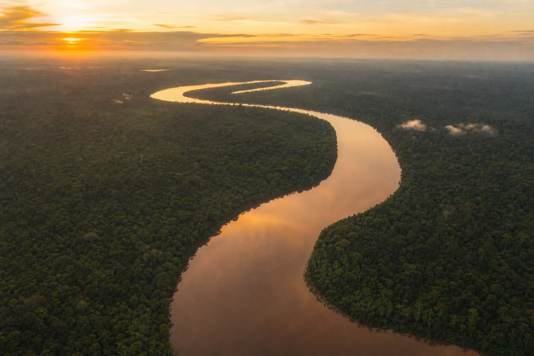 Winding brown river through dense Amazon rainforest seen from above at golden hour