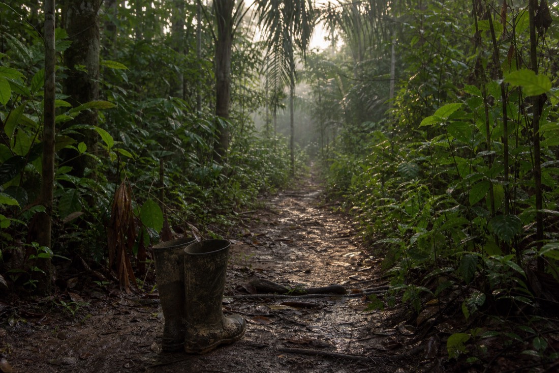 Rubber boots at the start of a wet jungle path in early morning light