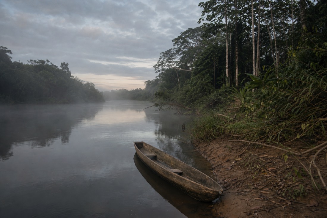 Dugout canoe moored at a quiet river landing below tall rainforest trees in morning mist, Ucayali region