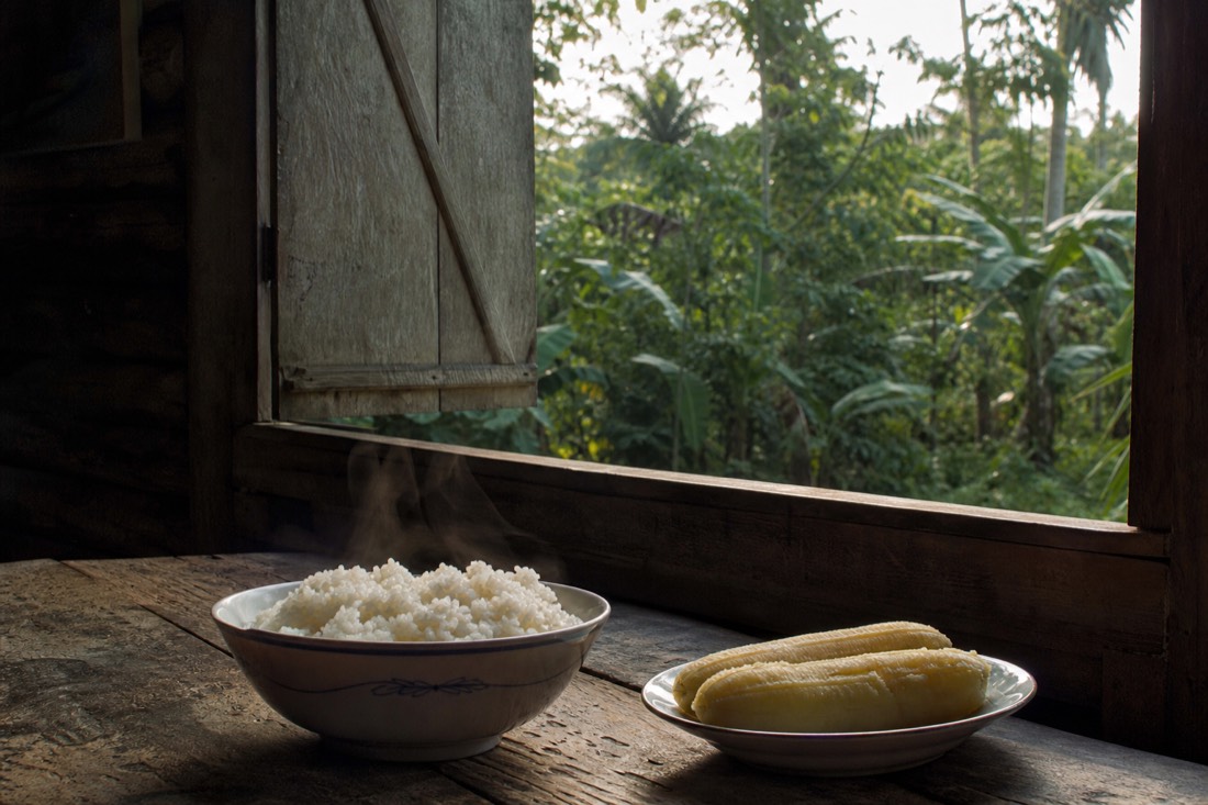 Steaming bowl of plain rice and plantain on a wooden table beside an open window onto jungle green
