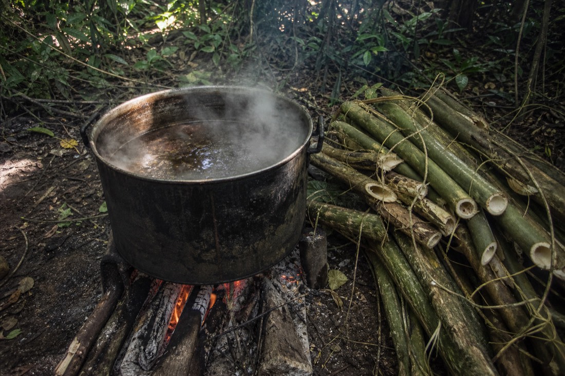Steam rising from a large pot of ayahuasca brew simmering over an open fire in the jungle