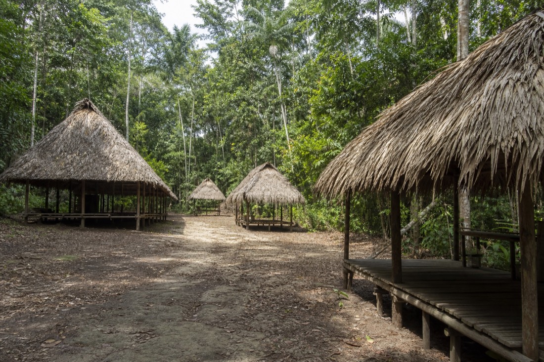Open-sided thatched tambo huts of different sizes spaced along a jungle clearing