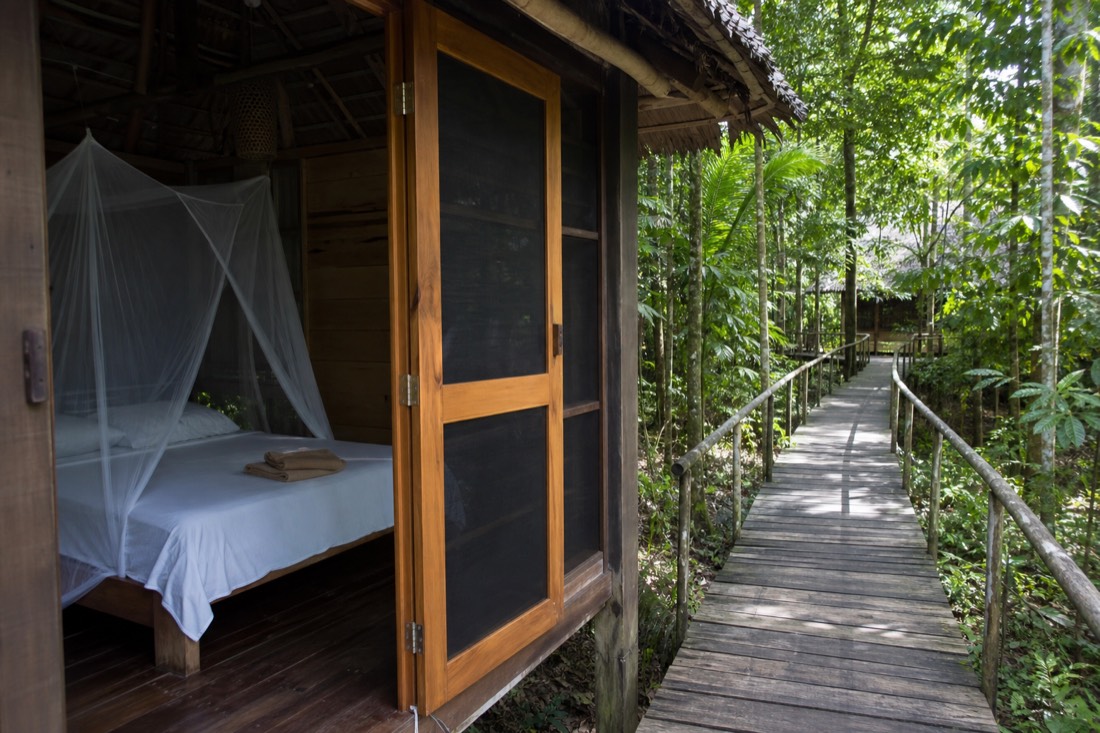 Simple guest bungalow with mosquito net and wooden walkway in Amazon rainforest near Tamshiyacu, daytime