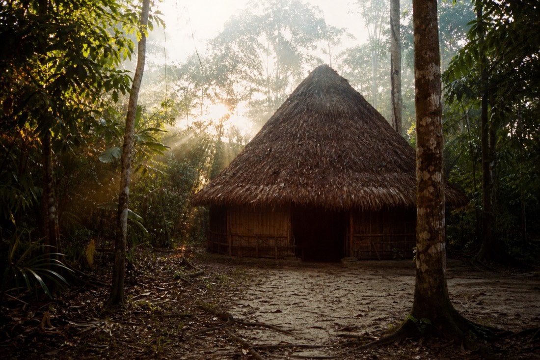 Small thatched maloca in a clearing of Amazon rainforest near Tamshiyacu, Peru, in soft morning light