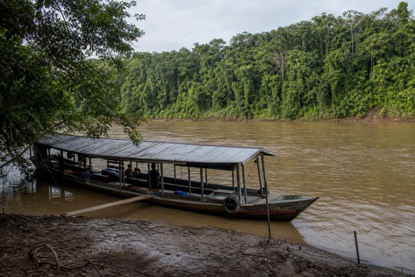 River and jungle near Iquitos in the Loreto Amazon, the kind of setting this center sits in