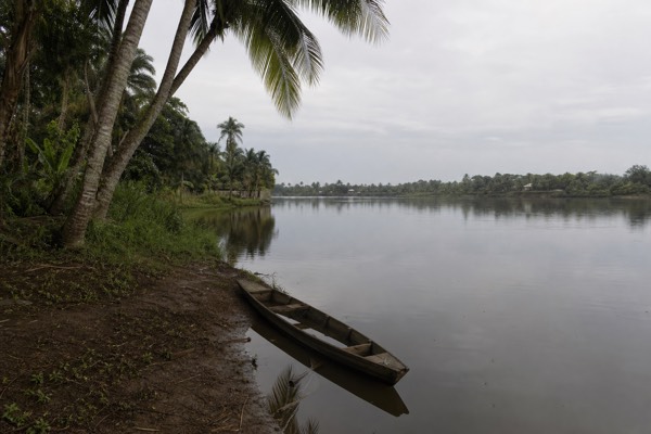 Still lagoon water and palms at Yarinacocha near Pucallpa, heartland of Shipibo ayahuasca tradition