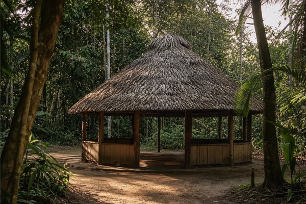 Small thatched maloca in a jungle clearing, the kind of Amazon rainforest setting this center sits in